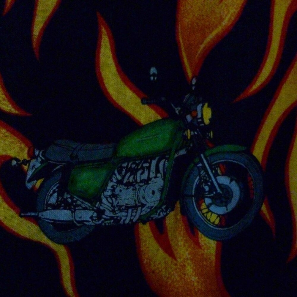 Motorcycle shirt, NEW in sealed package, 100% cotton, size L, flames